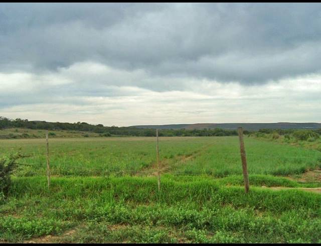 FARM FOR SALE IN MOSSEL BAY RURAL